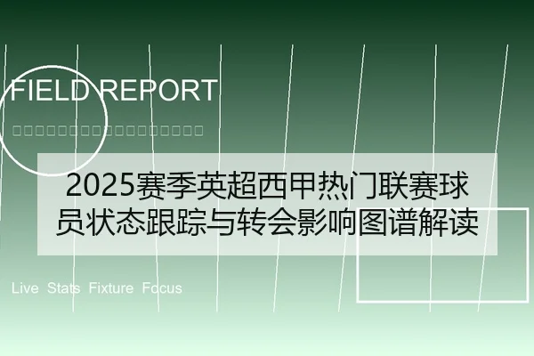 2025赛季英超西甲热门联赛球员状态跟踪与转会影响图谱解读
